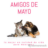 Logo Micrositio Amigos de Mayo